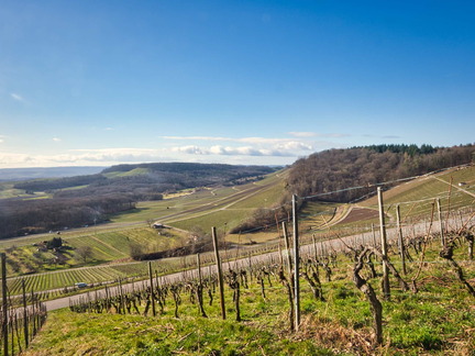 20220207142246-ebf91535